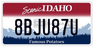 8BJU87U  license plate in ID