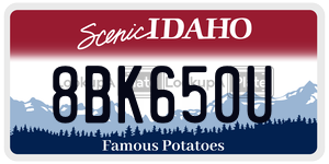 8BK650U  license plate in ID