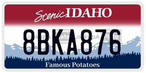 8BKA876  license plate in ID