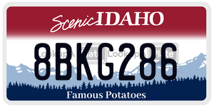 8BKG286  license plate in ID