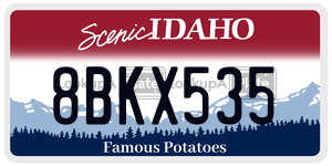 8BKX535  license plate in ID