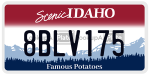 8BLV175  license plate in ID