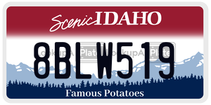 8BLW519  license plate in ID