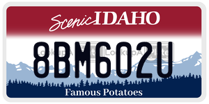 8BM602U  license plate in ID