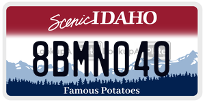 8BMN040  license plate in ID