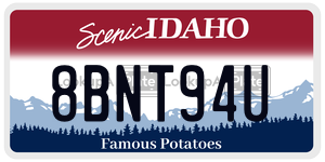 8BNT94U  license plate in ID
