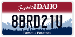 8BRD21U  license plate in ID