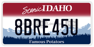 8BRE45U  license plate in ID
