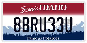 8BRU33U  license plate in ID