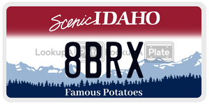 8BRX  license plate in ID