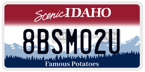 8BSM02U  license plate in ID