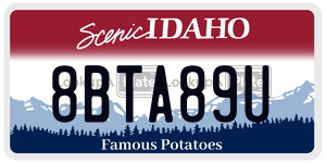 8BTA89U  license plate in ID