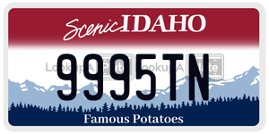 9995TN  license plate in ID