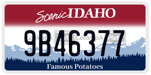 9B46377  license plate in ID