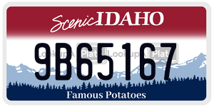 9B65167  license plate in ID