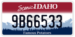 9B66533  license plate in ID