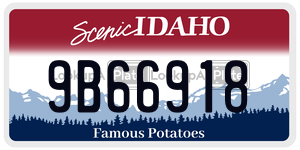 9B66918  license plate in ID