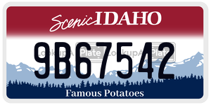 9B67542  license plate in ID