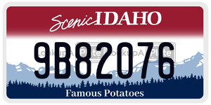 9B82076  license plate in ID