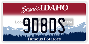9D8DS  license plate in ID