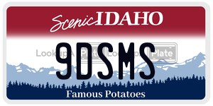 9DSMS  license plate in ID