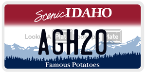 AGH20  license plate in ID