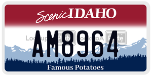 AM8964  license plate in ID