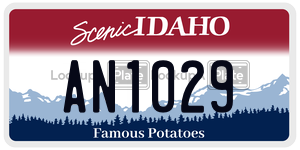 AN1029 license plate in Idaho