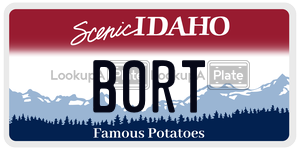B0RT  license plate in ID