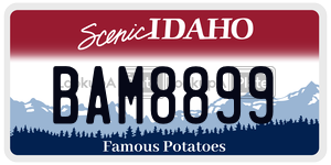 BAM8899  license plate in ID
