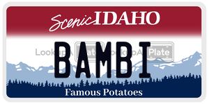 BAMBI  license plate in ID