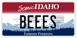 BEEES  license plate in ID