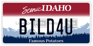 BILD4U  license plate in ID