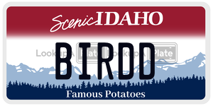 BIRDD  license plate in ID