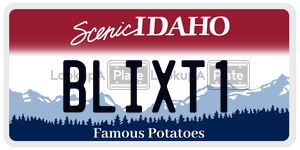 BLIXT1  license plate in ID