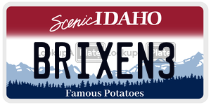 BRIXEN3  license plate in ID