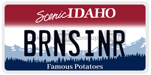 BRNSINR  license plate in ID