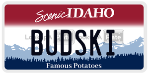 BUDSKI  license plate in ID
