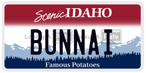 BUNNAI  license plate in ID