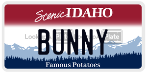 BUNNY  license plate in ID
