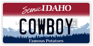 C0WB0Y  license plate in ID