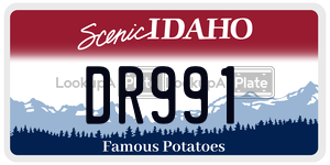 DR991  license plate in ID
