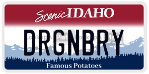 DRGNBRY  license plate in ID