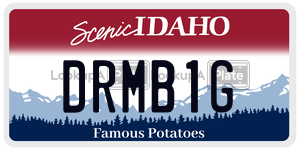 DRMB1G  license plate in ID