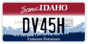 DV45H  license plate in ID