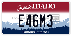 E46M3  license plate in ID
