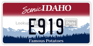 E919  license plate in ID