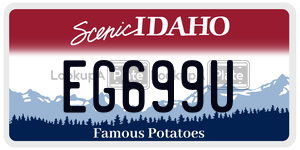 EG699U  license plate in ID