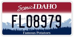 FL08979  license plate in ID