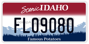 FL09080  license plate in ID